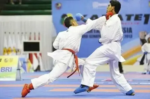 Tim Karate Indonesia Meraih 4 Medali Emas Di Kejuaraan Karate Internasional Tim Karate Indonesia Meraih 4 Medali Emas Di Kejuaraan Karate Internasional
