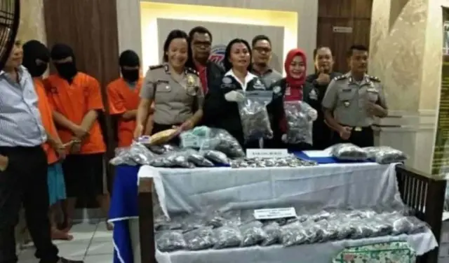 Polisi Gerebek Pabrik Tembakau Gorila di Apartemen Kalibata City Polisi Gerebek Pabrik Tembakau Gorila di Apartemen Kalibata City