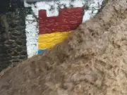 Bendungan Katulampa Siaga I Bendungan Katulampa Siaga I