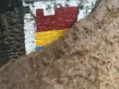 Bendungan Katulampa Siaga I