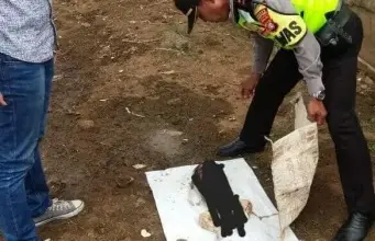Mayat Bayi Laki-laki Ditemukan Petugas Kebersihan Mayat Bayi Laki-laki Ditemukan Petugas Kebersihan