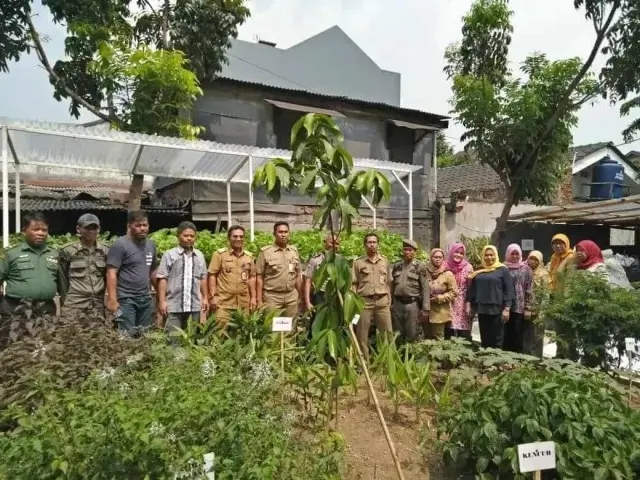 Camat Kembangan Bersama Tiga Pilar Panen Perdana Tanaman Hrdroponik Camat Kembangan Bersama Tiga Pilar Panen Perdana Tanaman Hrdroponik