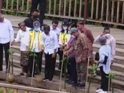 Sambut KTT G20, Jokowi Siapkan 6 Juta Bibit Nursery Sambut KTT G20, Jokowi Siapkan 6 Juta Bibit Nursery