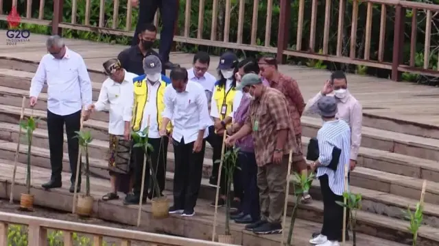 Sambut KTT G20, Jokowi Siapkan 6 Juta Bibit Nursery Sambut KTT G20, Jokowi Siapkan 6 Juta Bibit Nursery