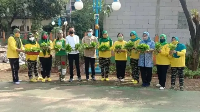RPTRA Kelurahan Cengkareng Timur, Panen 69 kg Sayur Mayur RPTRA Kelurahan Cengkareng Timur, Panen 69 kg Sayur Mayur