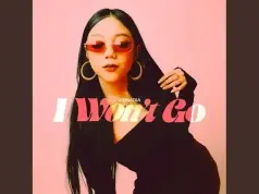 Lirik Lagu I Won’t Go – Vionadia Lirik Lagu I Won't Go - Vionadia