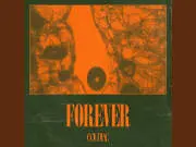 Lirik Lagu Forever - Coldiac