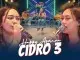 Lirik Lagu Cidro 3 – Happy Asmara Lirik Lagu Cidro 3 - Happy Asmara